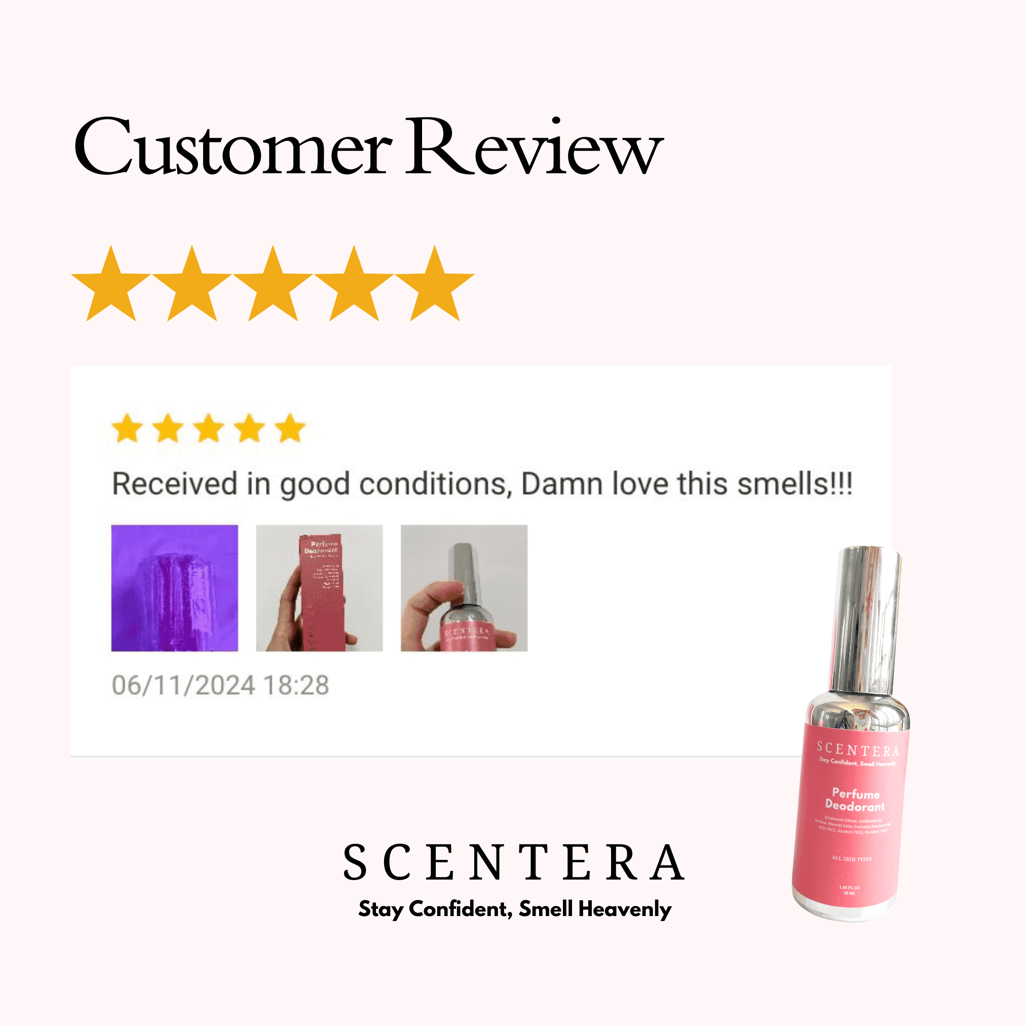 Review 1