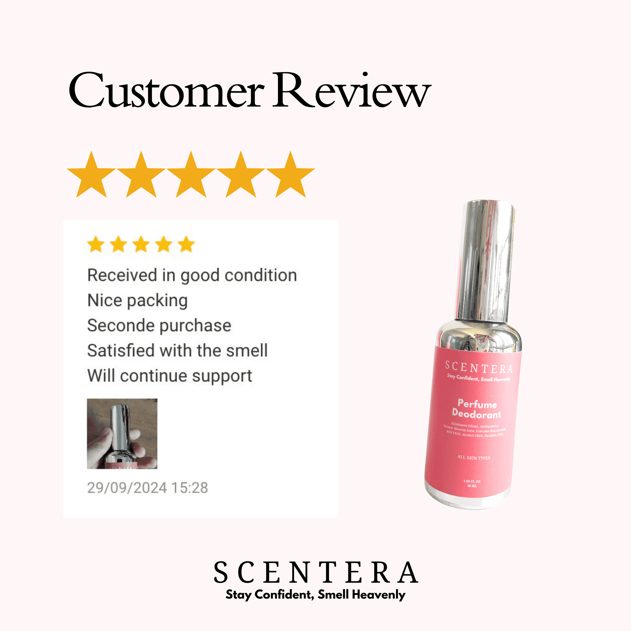 Review 3