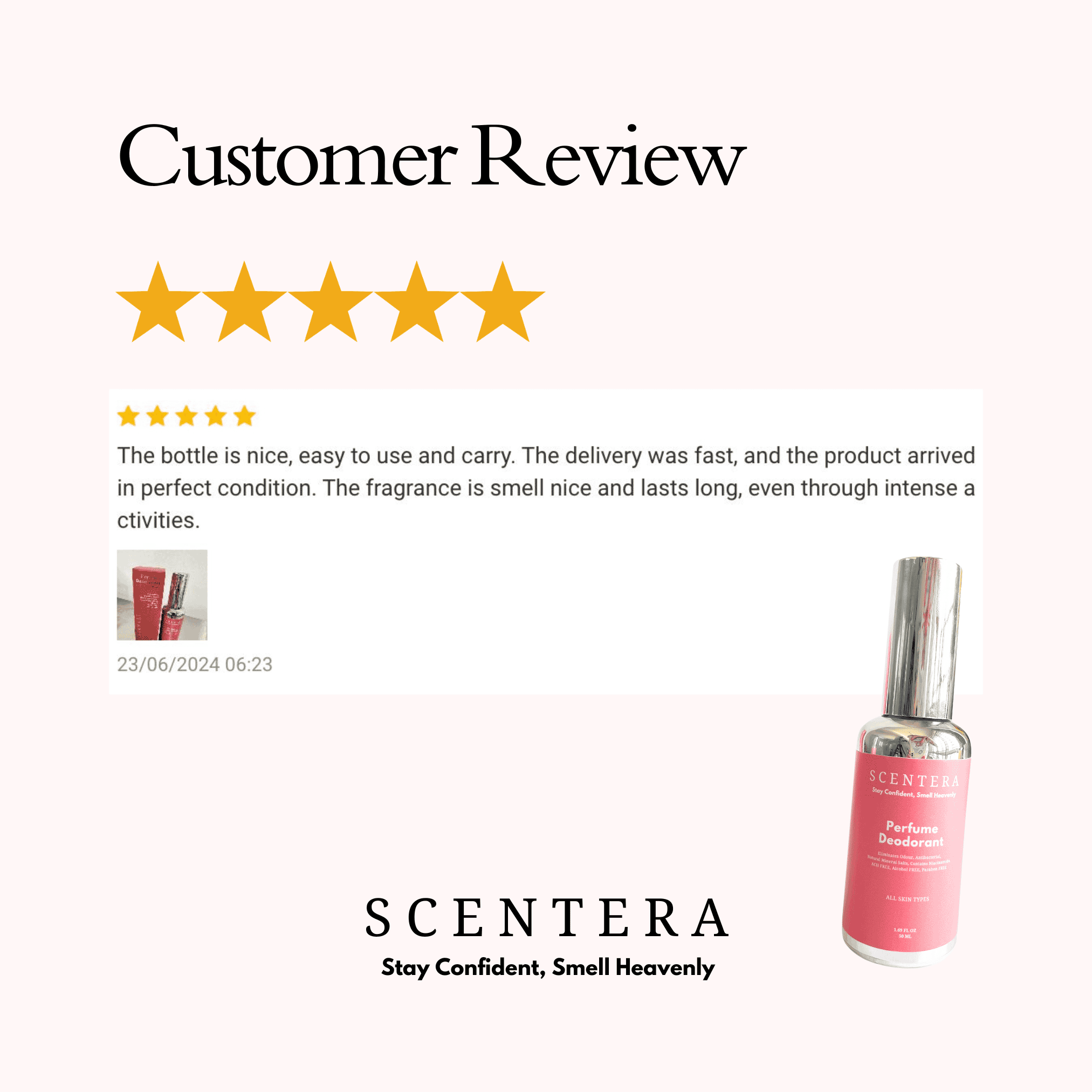 Review 4
