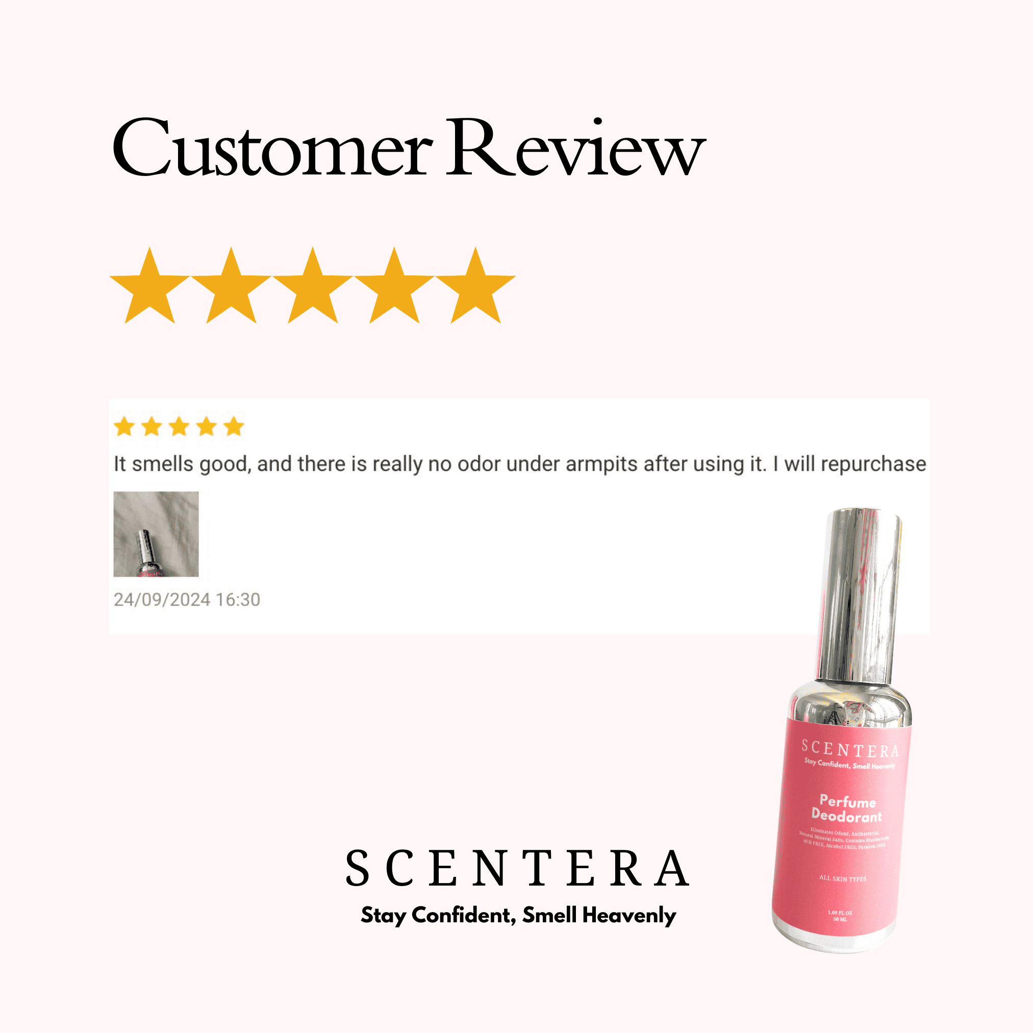 Review 5